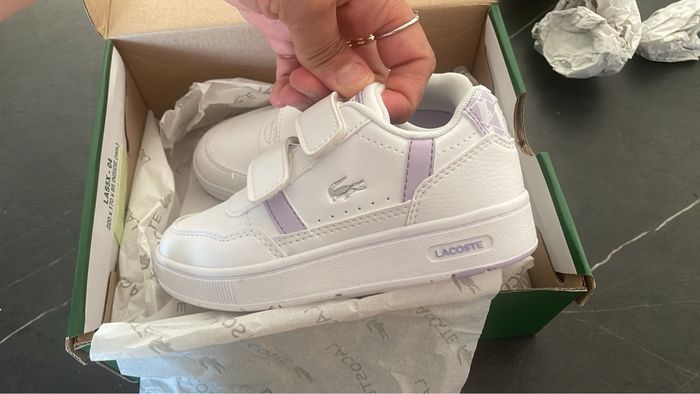 Basket Lacoste 26