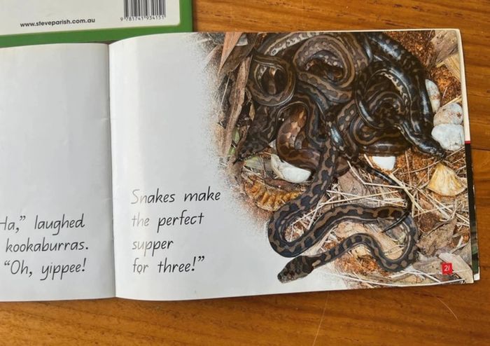 Livres en anglais Kangourou et serpent - photo numéro 4