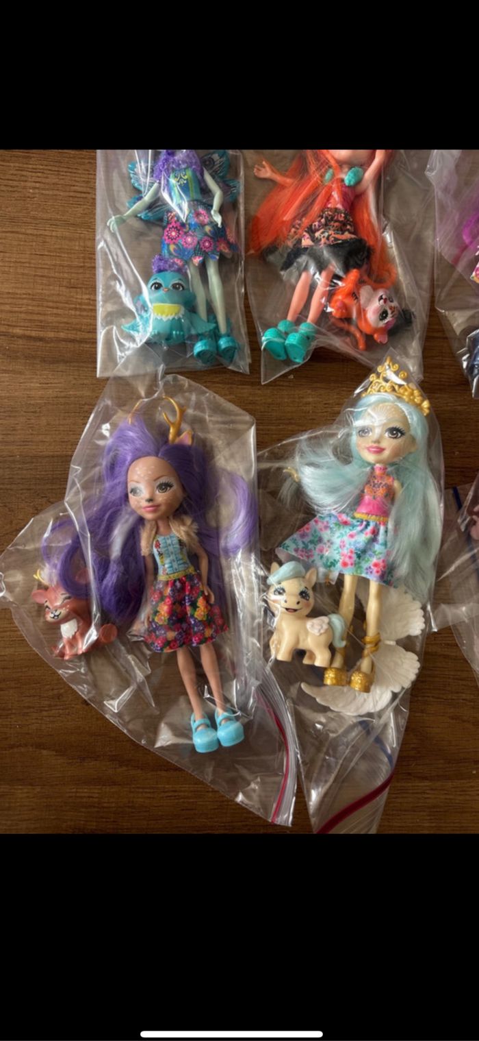 Lot de 6 poupées Enchantimals avec accessoires - photo numéro 4