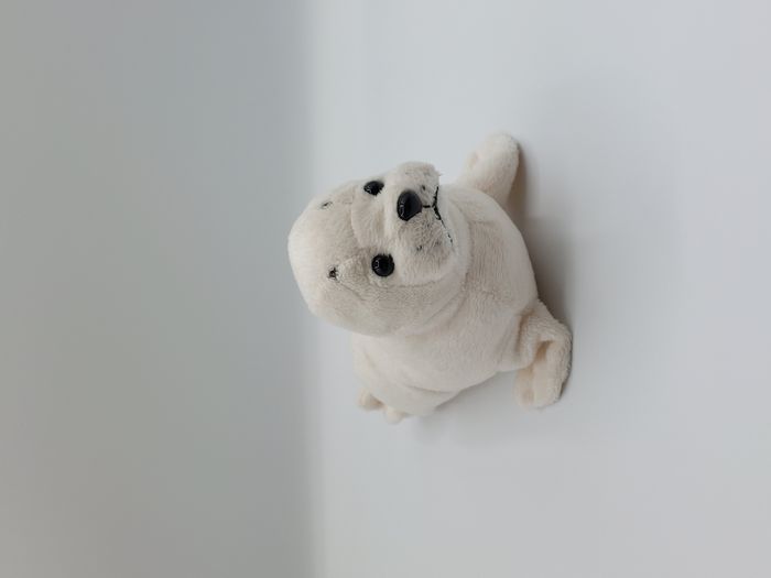Peluche doudou phoque blanc crème NATIONAL GEOGRAPHIC 20 cm 2017 Venturelli - photo numéro 2