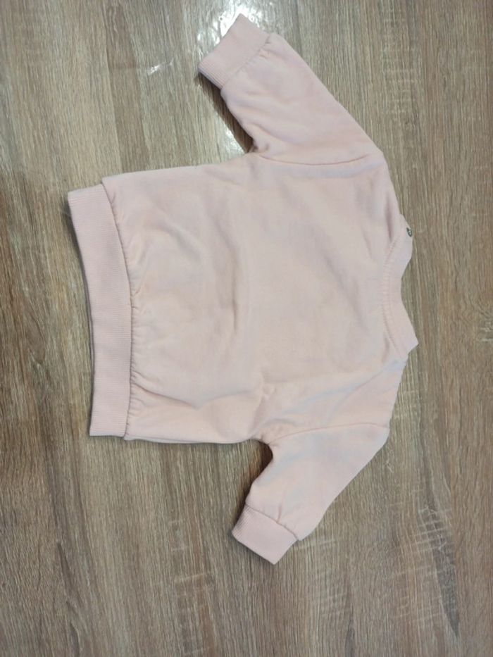 Pull 🐰 - photo numéro 3