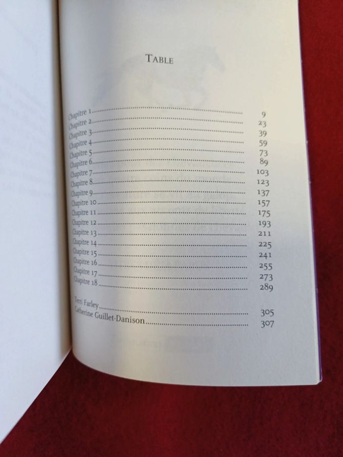 Cheval fantôme Tome 3 " Une jument dans les flammes " Terri Farley - photo numéro 12