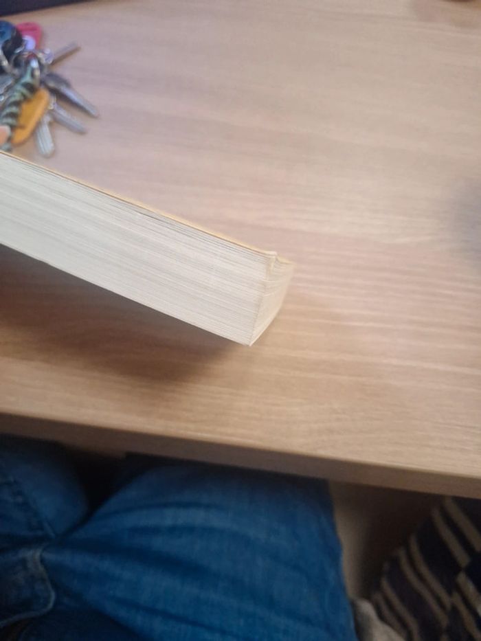 Livre roman familiale humour - photo numéro 6