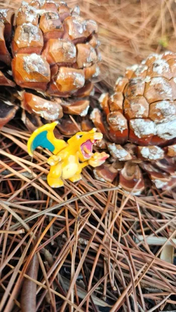 Super figurine Pokemon Dracaufeu