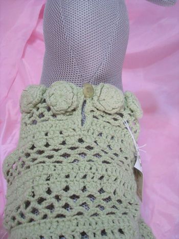 JOLI GILET petit chien