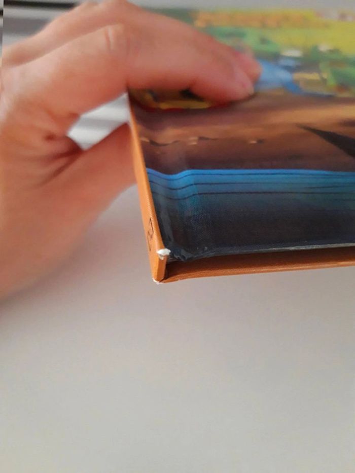 Livre :  1001 pattes - photo numéro 11