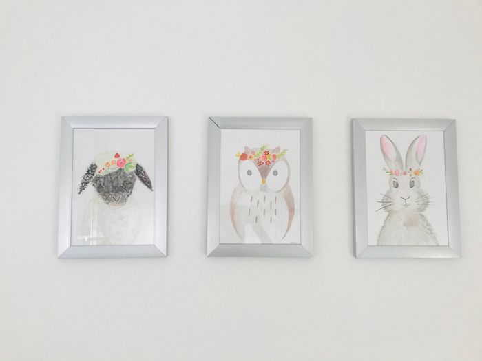 Cadre à l’unité - photo numéro 2