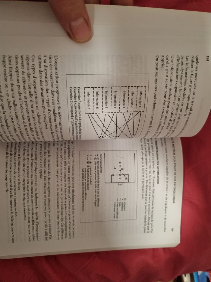 Guide de préparation au brevet d'état d'éducateur sportif 1er degré - photo numéro 3