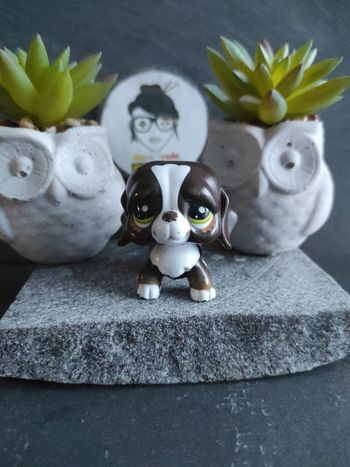 My Littlest Petshop Pet Shop LPS chien saint Bernard 2121 dog #geektradelpschien