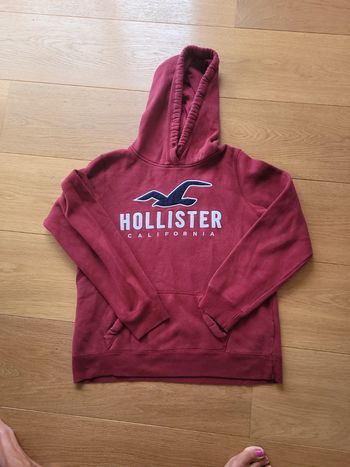 Sweat capuche hollister tM