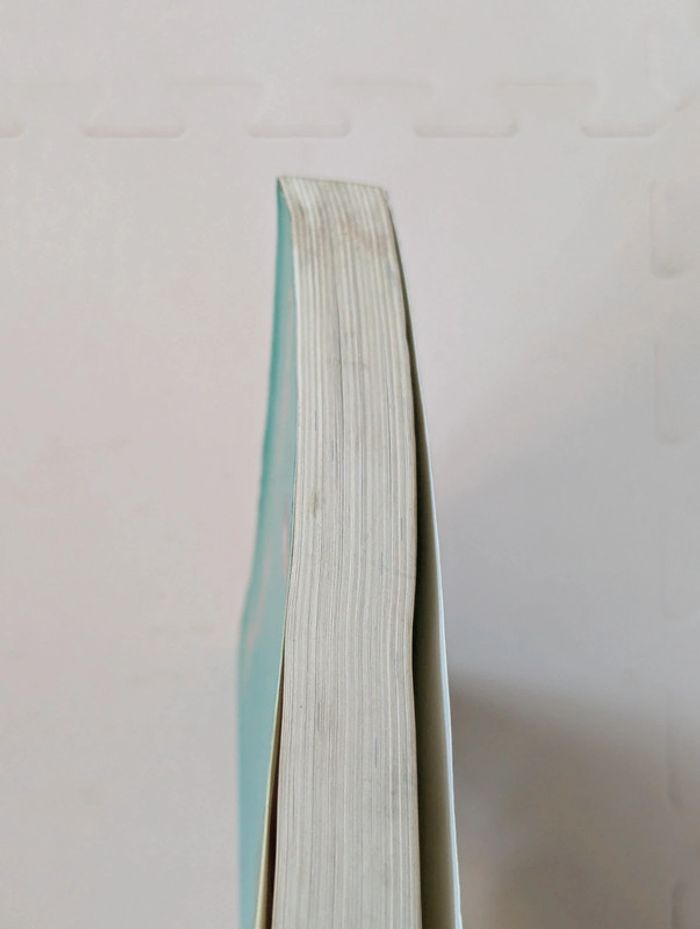 Lot 4 livres Itinéraires Littéraires Hatier – du Moyen Âge au XIXe siècle - photo numéro 14