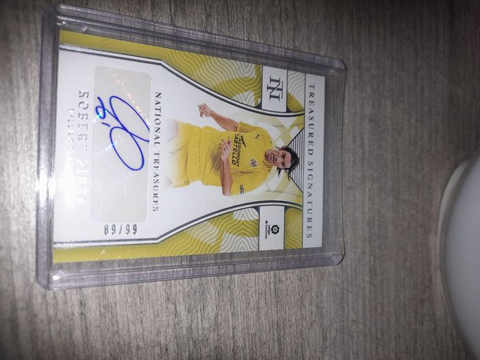 Panini