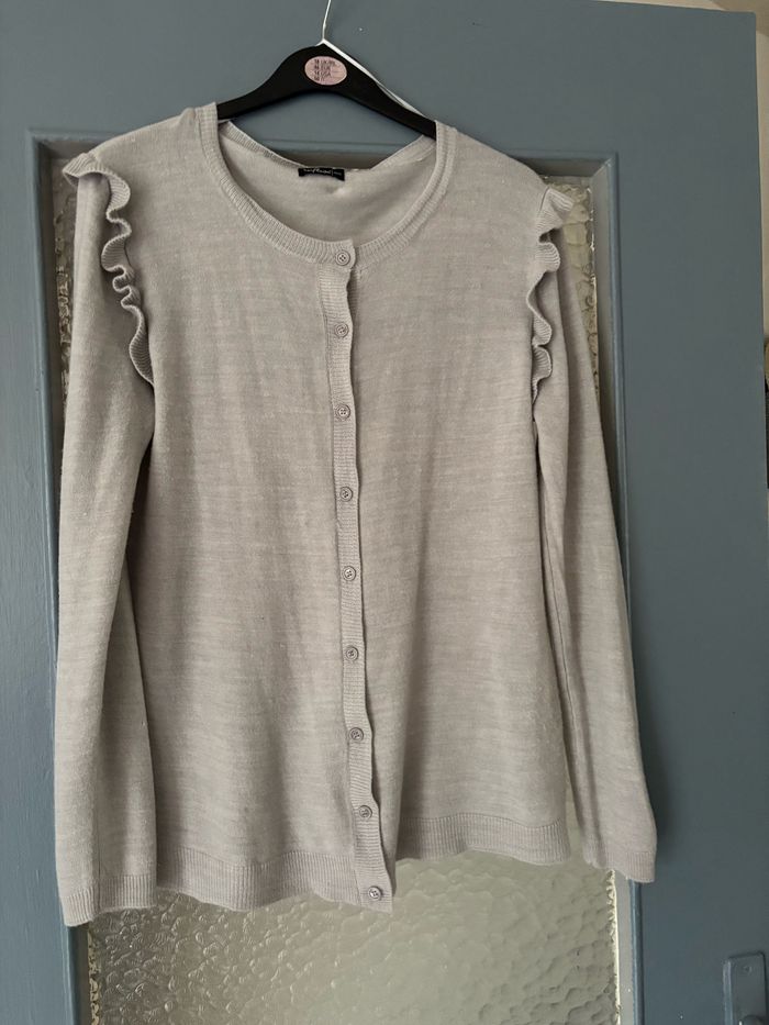 Gilet gris - photo numéro 5