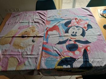 Lot de 2 serviettes minnie et stella