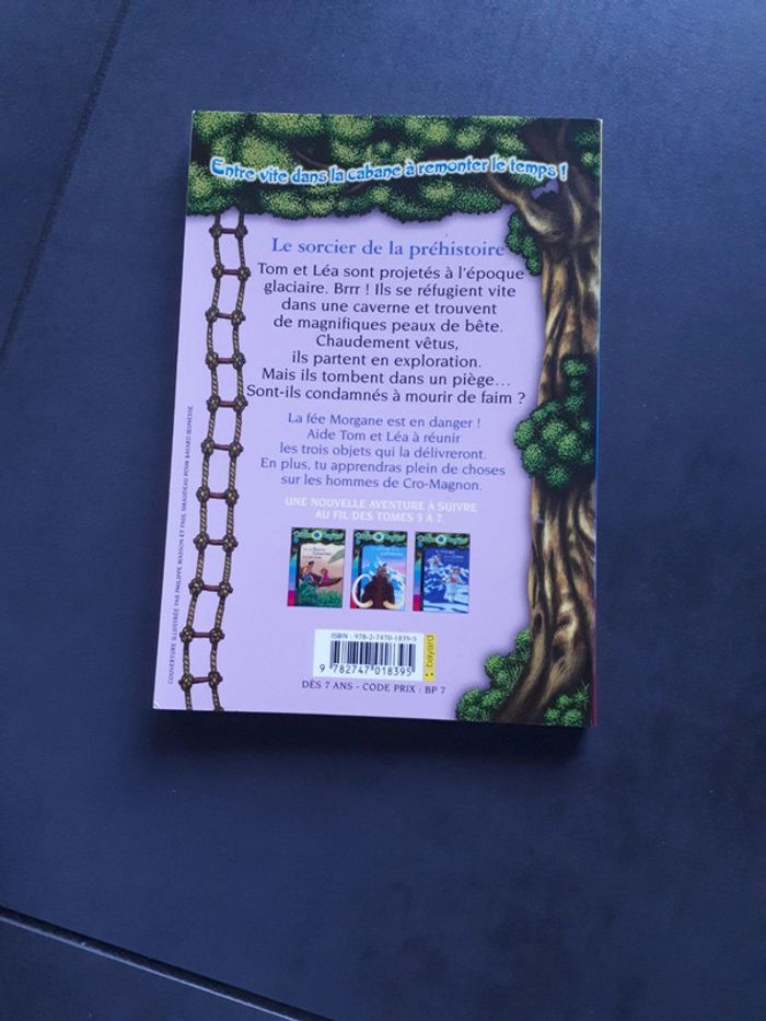 Livre la cabane magique le sorcier de la Préhistoire - photo numéro 2