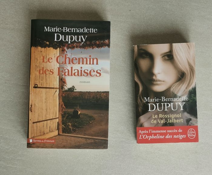 2 romans de Marie-Bernadette Dupuy
