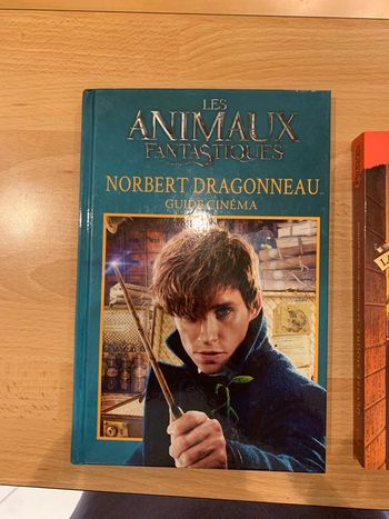 Lot 2 livres fantastiques