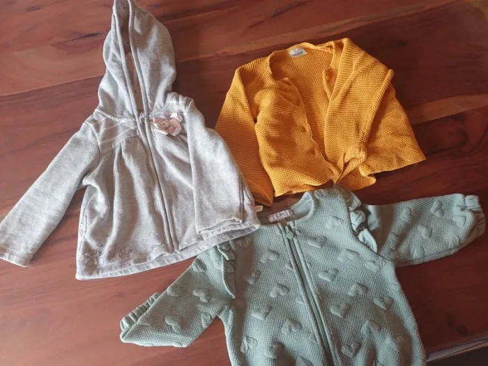 Vestes