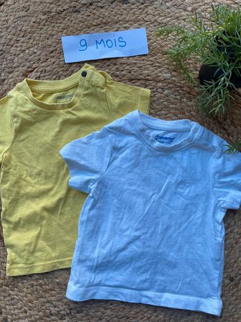 Lot 2 tee-shirts 9 mois