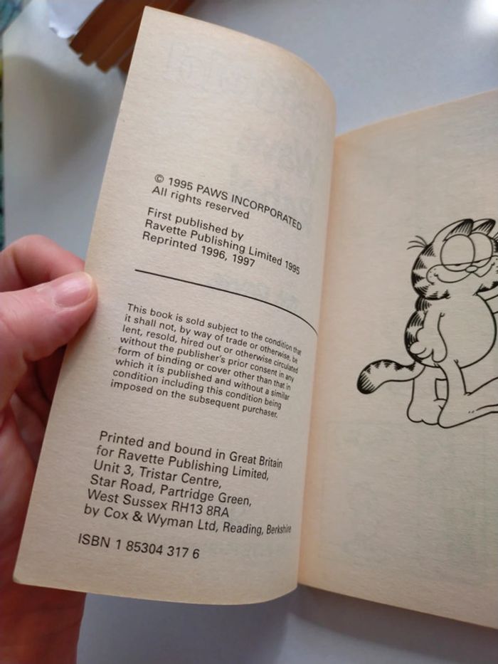 Garfield wave rebel - photo numéro 9