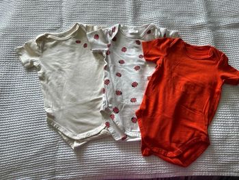 3 bodies manches courtes