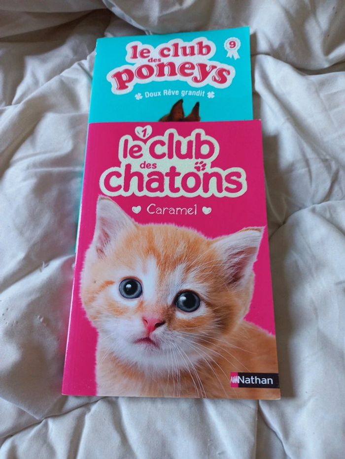 Lot livres club des chatons et des poneys