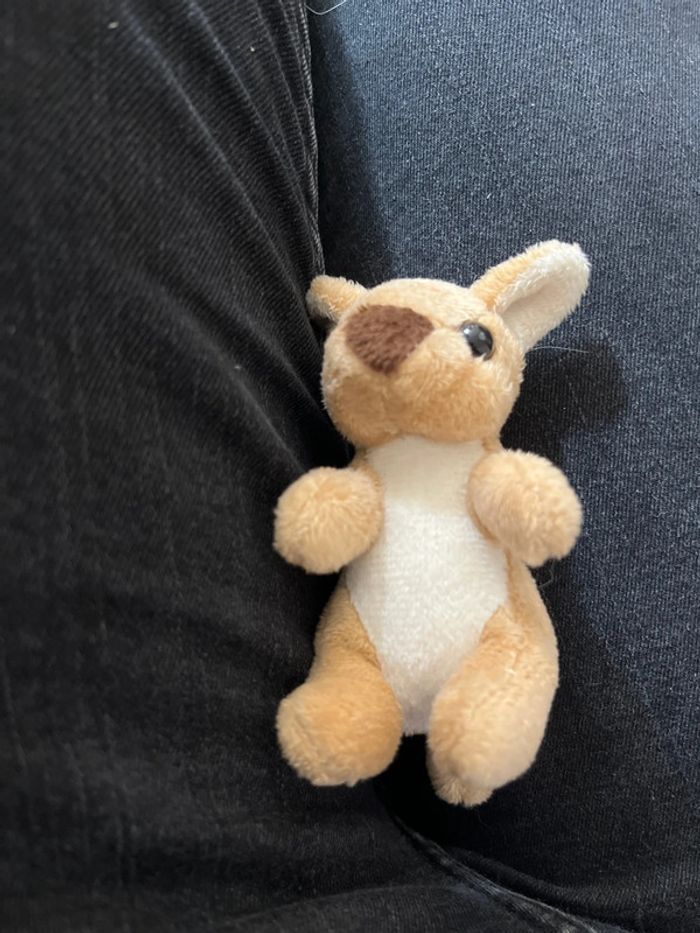 Peluche - photo numéro 4