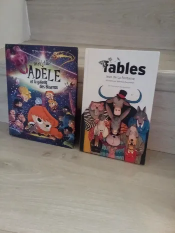 Lot de 2 livres enfants