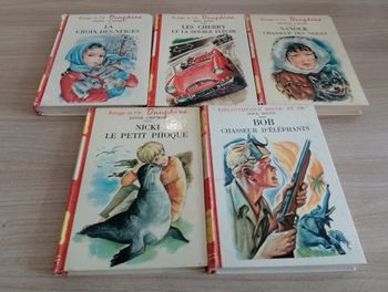 Lot de 5 livre, collection "rouge et or Dauphine"(2)