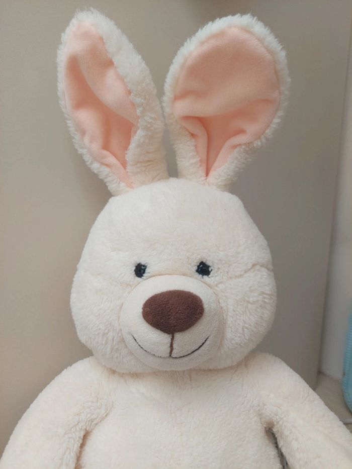 Les z'amis nature - belle peluche lapin - photo numéro 2