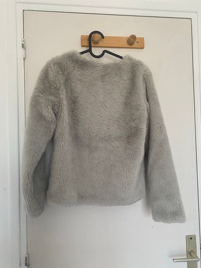 veste a fourrure - photo numéro 2