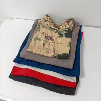 Lot 5 t-shirts femme taille L Revente (Tommy, Esprit, Lucky) manches courtes et longues LOT004