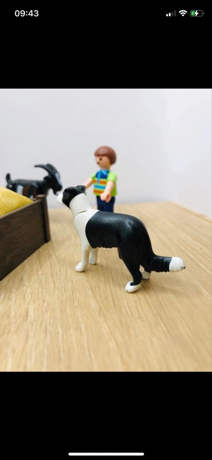 Élevage chèvres playmobil - photo numéro 5
