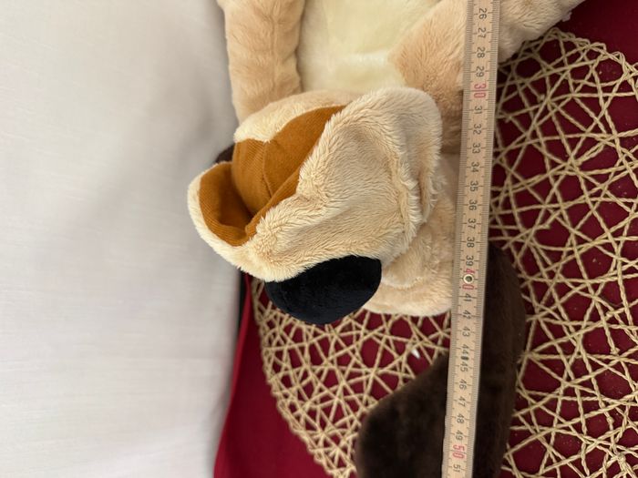 chien beige oreilles et queue marron doudou - photo numéro 5