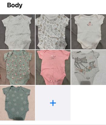 Lot de 7 body manches courtes 6 mois