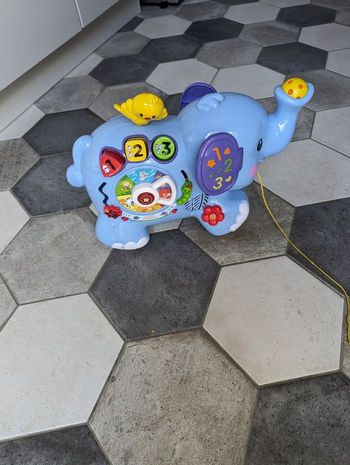 Trompette, mon éléphant des découvertes