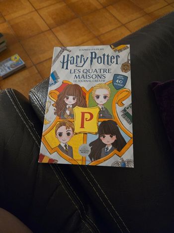 Harry Potter les quatre maisons