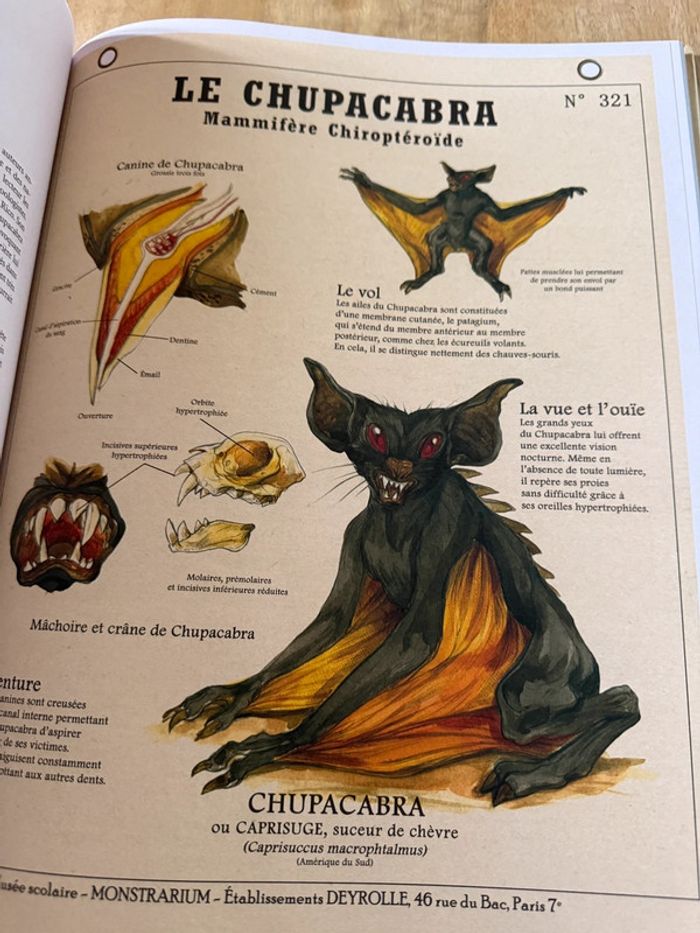 Plume de Carotte Créatures fantastiques Deyrolle livre grand album encyclopédie - photo numéro 13