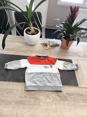 Sweat garçon 18 mois Lulu castagnette