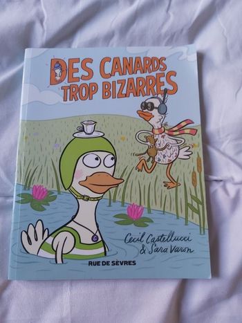 Des canards trop bizarres