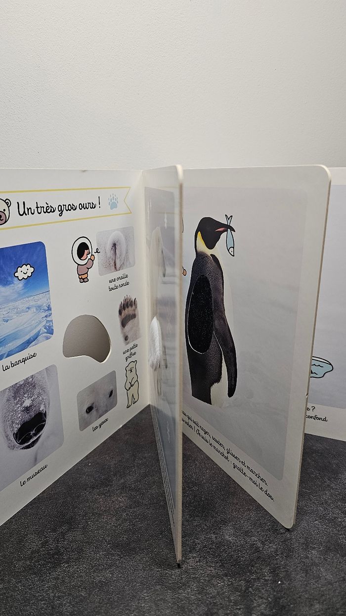 Livre 📙 cartonné pour bébé - photo numéro 3