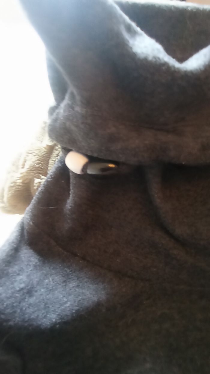 Robe pull - photo numéro 3