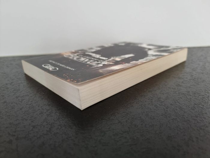 La légende de Beowulf de Caitlín Kiernan - photo numéro 4