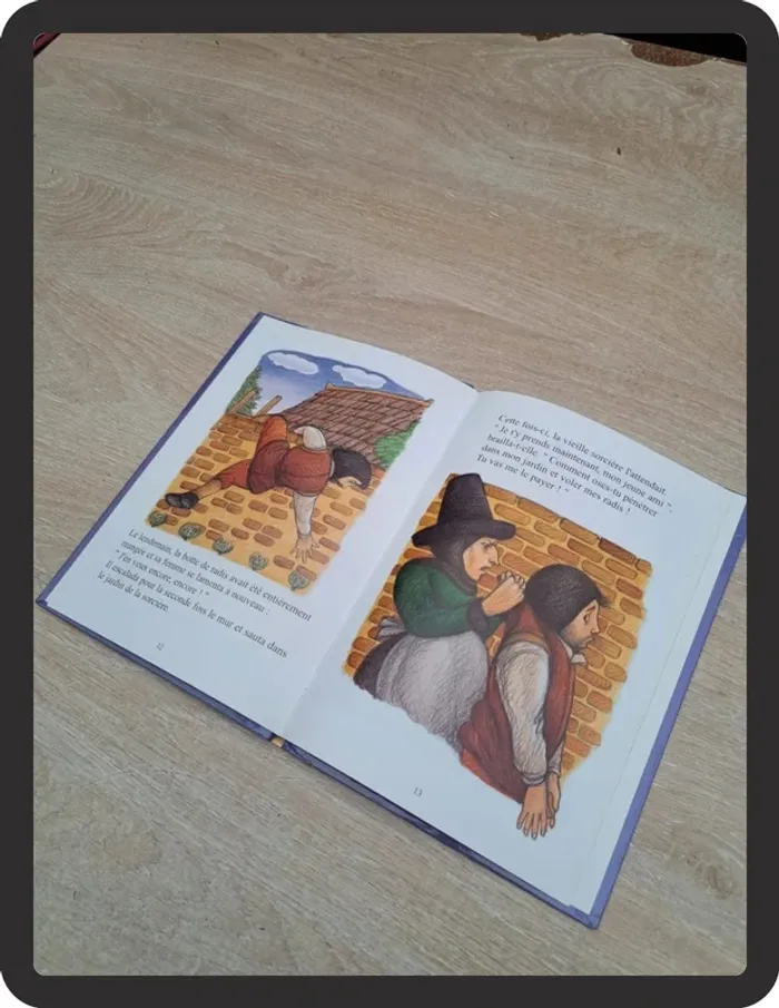 Livre raiponce - photo numéro 2