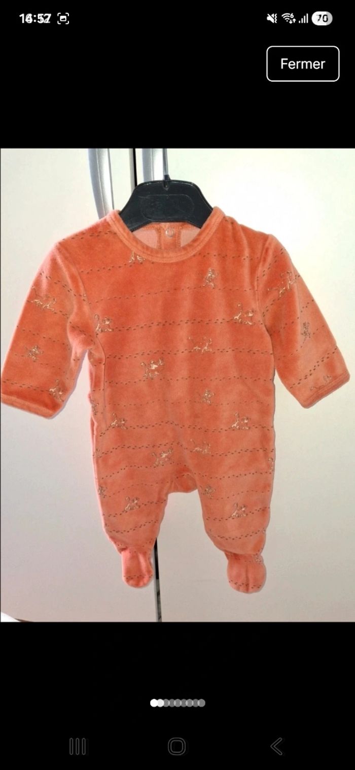 Lot roi lion - photo numéro 2