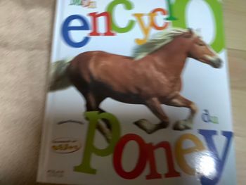 Poney