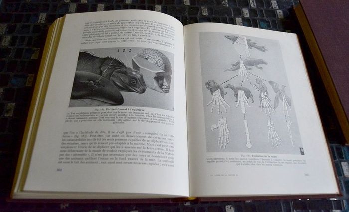 Le Livre de la Nature. En 2 Tomes. - KAHN F - 1958 - photo numéro 3