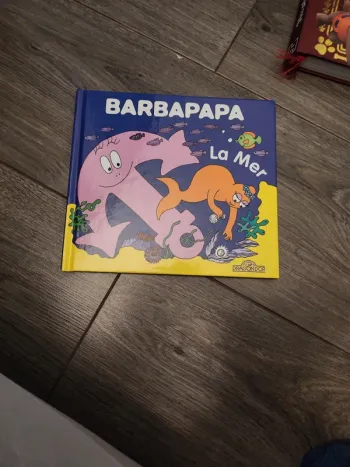 Livre barbapapa