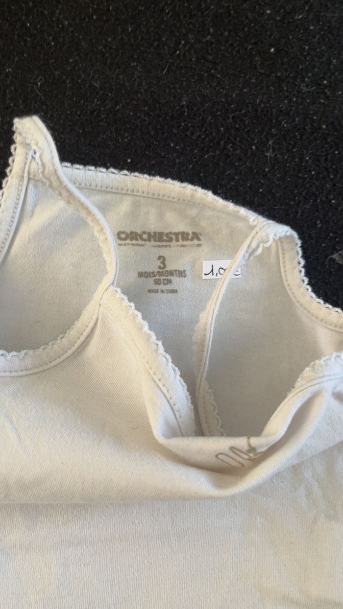 Bodie 3 mois - photo numéro 4