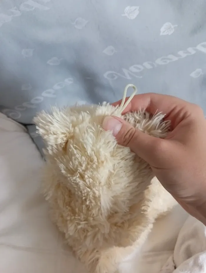 Doudou ours - photo numéro 4
